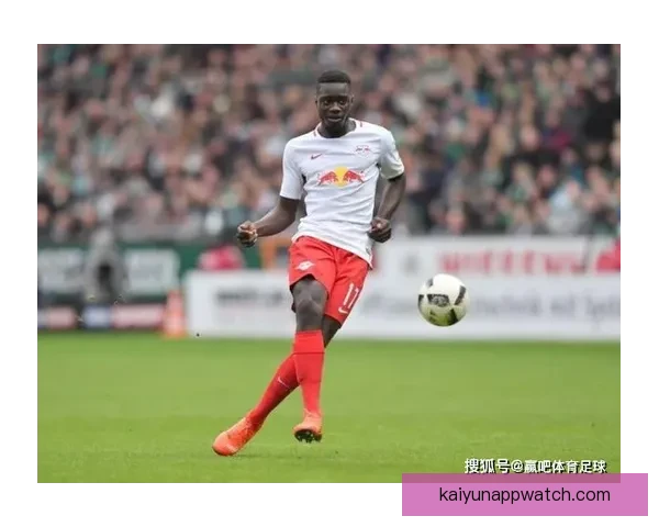 世界杯竞猜赔率分析与投注策略全面解读助你精准预测赛事结果